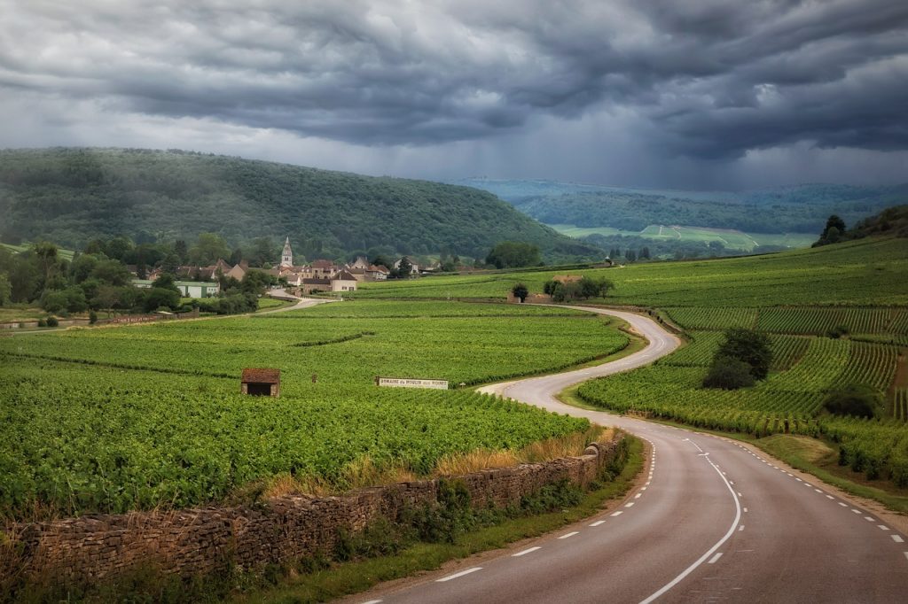 road, vineyards, clouds, burgundy, france, nature, landscape